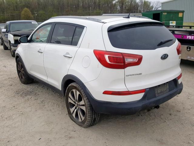 KNDPC3A21B7073119 - 2011 KIA SPORTAGE EX  photo 3