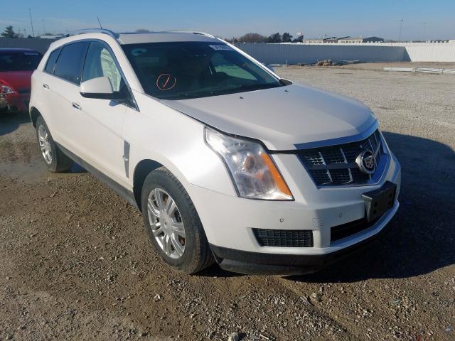 3GYFNAEY3BS561685 - 2011 CADILLAC SRX LUXURY COLLECTION  photo 1