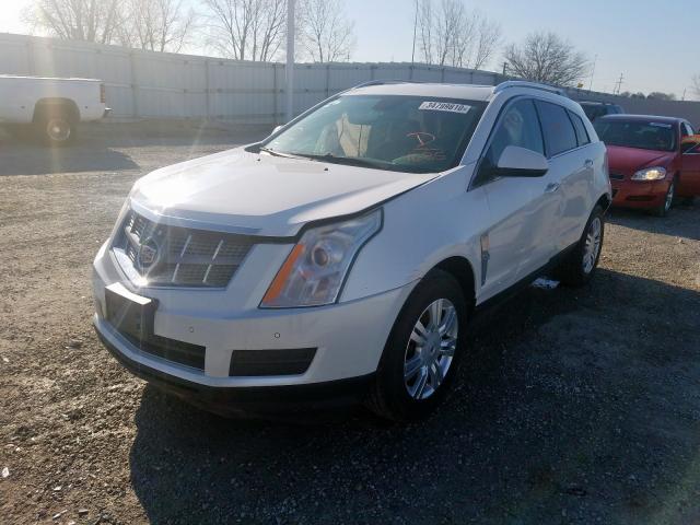 3GYFNAEY3BS561685 - 2011 CADILLAC SRX LUXURY COLLECTION  photo 2