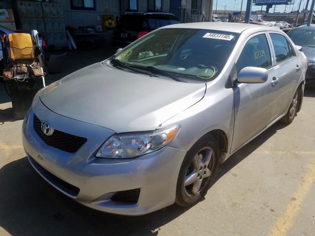 1NXBU40E99Z093313 - 2009 TOYOTA COROLLA BASE  photo 2