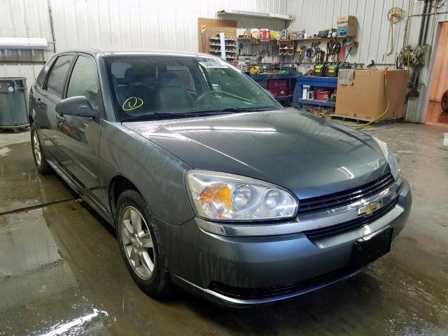1G1ZT62845F295055 - 2005 CHEVROLET MALIBU MAXX LS  照片 1
