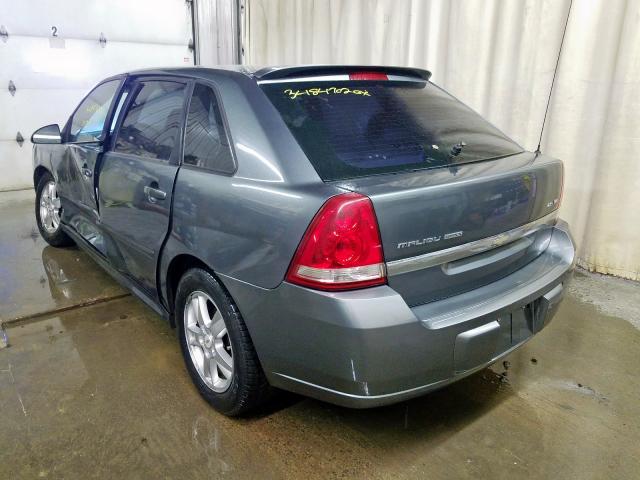 1G1ZT62845F295055 - 2005 CHEVROLET MALIBU MAXX LS  照片 3
