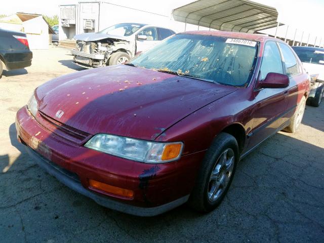 1HGCD5633SA126139 - 1995 HONDA ACCORD LX  photo 2