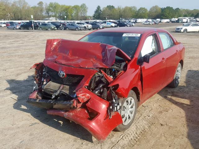 2T1BU4EE0AC462445 - 2010 TOYOTA COROLLA BASE  photo 2