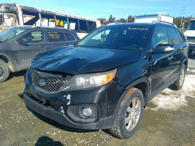 5XYKT3A17BG142187 - 2011 KIA SORENTO BASE  photo 2