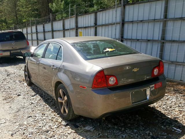 1G1ZC5E02AF253185 - 2010 CHEVROLET MALIBU 1LT  photo 3