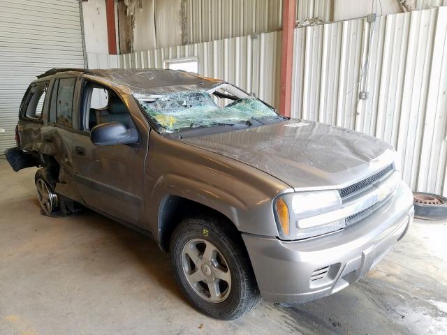 1GNDS13S052346731 - 2005 CHEVROLET TRAILBLAZER LS  photo 1