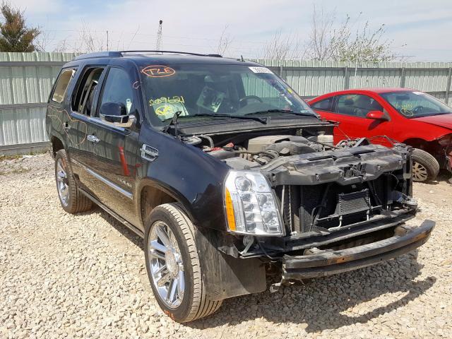 1GYS4DEF9BR209621 - 2011 CADILLAC ESCALADE PLATINUM  photo 1