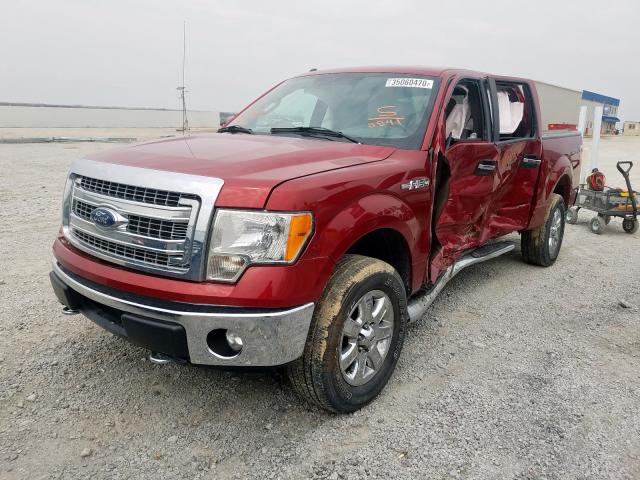 1FTFW1EF8DKG08841 - 2013 FORD ford f150 super  photo 2