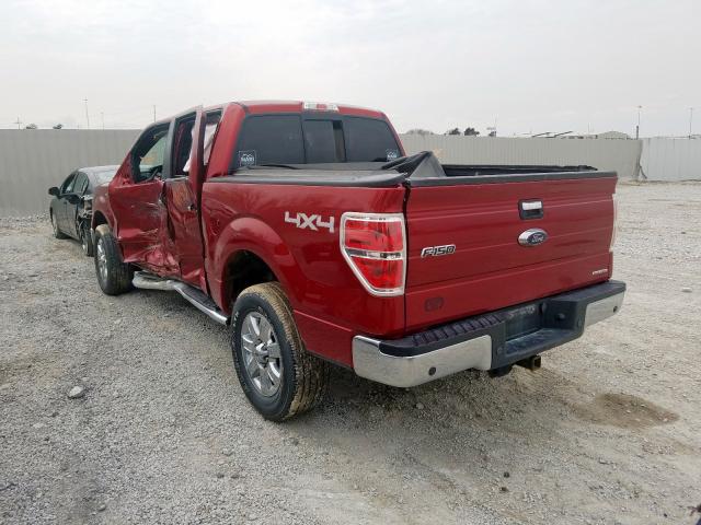 1FTFW1EF8DKG08841 - 2013 FORD ford f150 super  photo 3