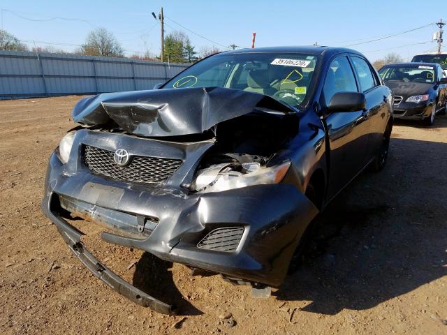 2T1BU4EE7AC414750 - 2010 TOYOTA COROLLA BASE  photo 2