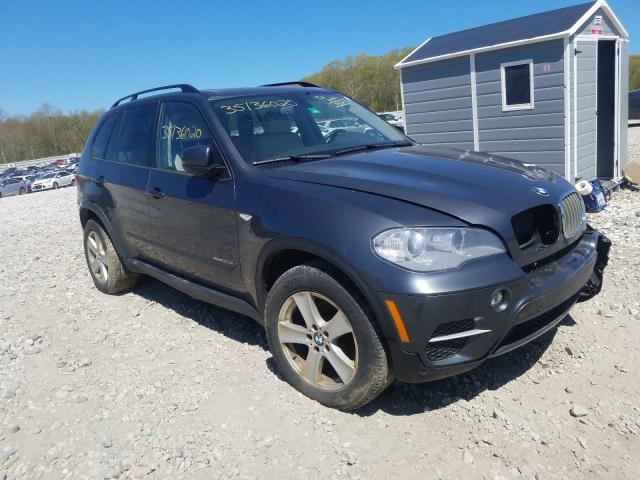 5UXZW0C55BL661603 - 2011 BMW X5 XDRIVE35D  photo 1