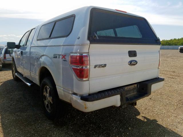 1FTEX1E81AKE26470 - 2010 FORD F150 SUPER CAB  photo 3