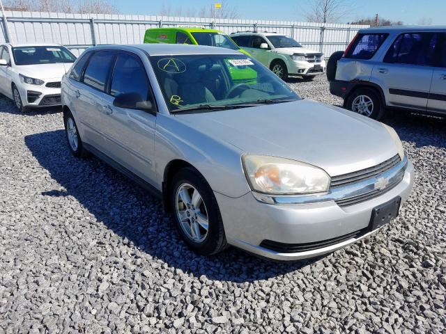 1G1ZT64804F224334 - 2004 CHEVROLET MALIBU MAXX LS  照片 1