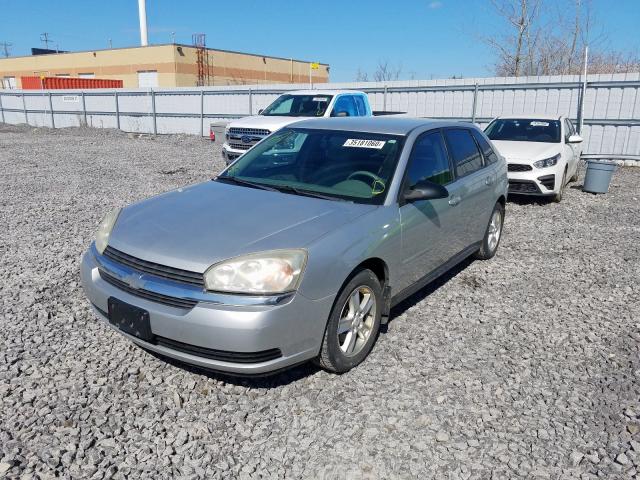 1G1ZT64804F224334 - 2004 CHEVROLET MALIBU MAXX LS  照片 2