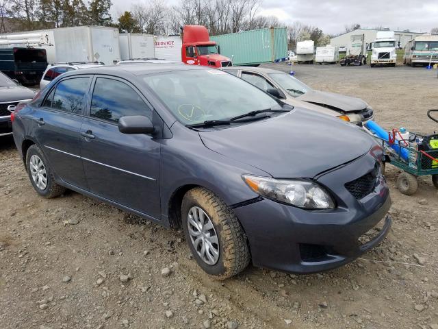 2T1BU40E49C188640 - 2009 TOYOTA COROLLA BASE  photo 1