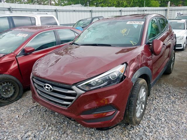 KM8J23A41GU107350 - 2016 HYUNDAI TUCSON SE  photo 2