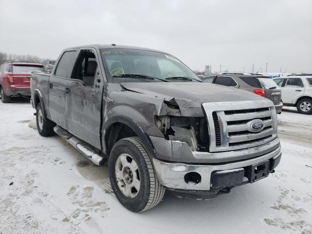 2010 FORD F150 SUPERCREW, 