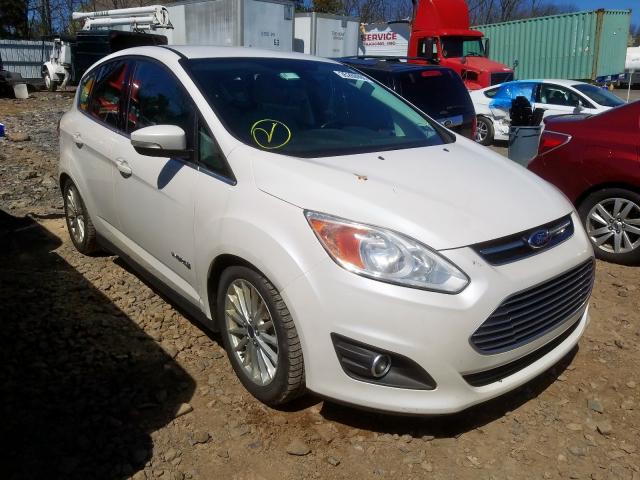 1FADP5BU1EL502005 - 2014 FORD C-MAX SEL  photo 1