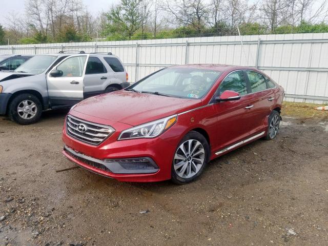 5NPE34AF6FH115513 - 2015 HYUNDAI SONATA SPORT  photo 2