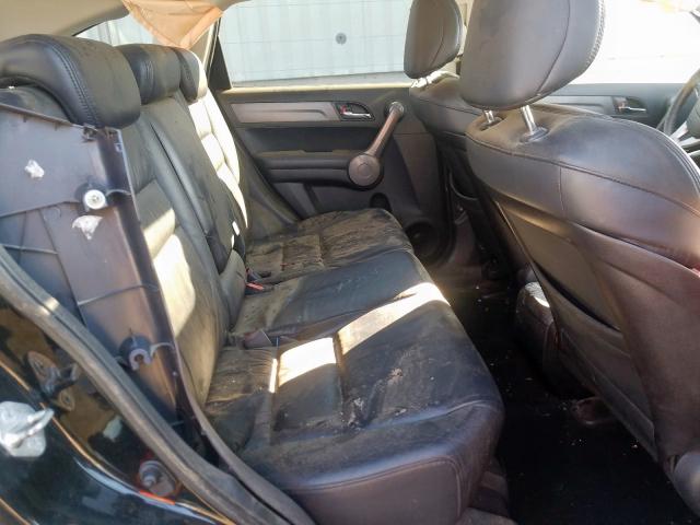 JHLRE48748C057395 - 2008 HONDA CR-V EXL  photo 6