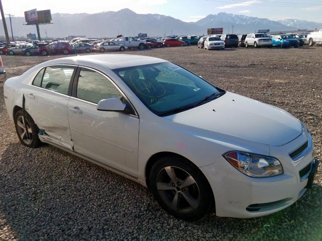 1G1ZC5E13BF234462 - 2011 CHEVROLET MALIBU 1LT  照片 1