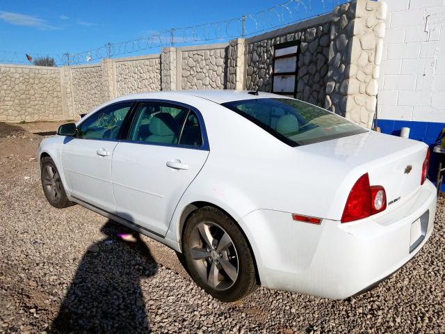 1G1ZC5E13BF234462 - 2011 CHEVROLET MALIBU 1LT  照片 3