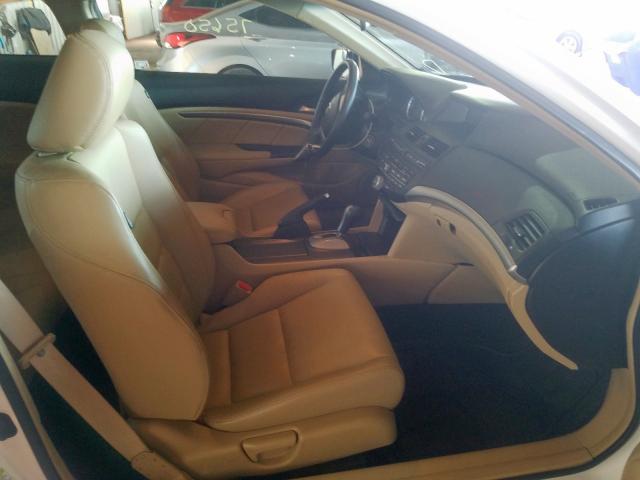 1HGCS12869A021072 - 2009 HONDA ACCORD EXL  photo 5