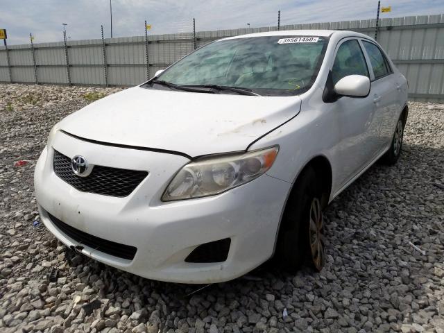 2T1BU40E79C082117 - 2009 TOYOTA COROLLA BASE  photo 2