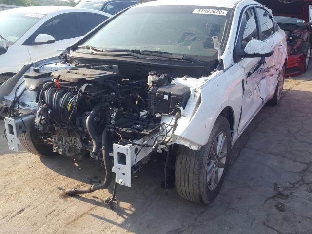 5NPE24AF0FH187424 - 2015 HYUNDAI SONATA SE WHITE photo 9