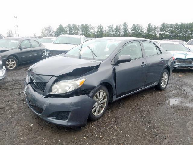 1NXBU4EE7AZ233176 - 2010 TOYOTA COROLLA BASE  photo 2