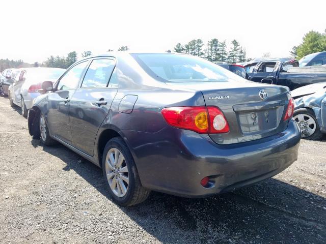 1NXBU4EE7AZ233176 - 2010 TOYOTA COROLLA BASE  photo 3