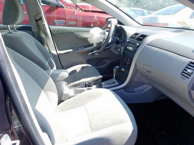 1NXBU4EE7AZ233176 - 2010 TOYOTA COROLLA BASE  照片 5