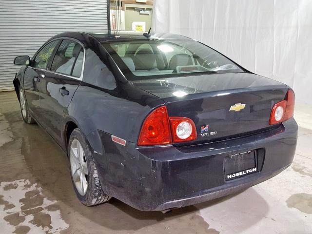 1G1ZB5E13BF114308 - 2011 CHEVROLET MALIBU LS  photo 3