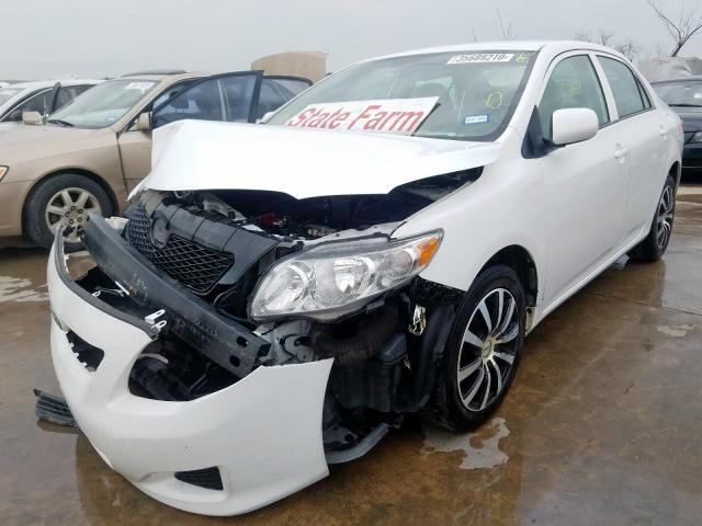 1NXBU4EE6AZ297421 - 2010 TOYOTA COROLLA BASE  photo 2