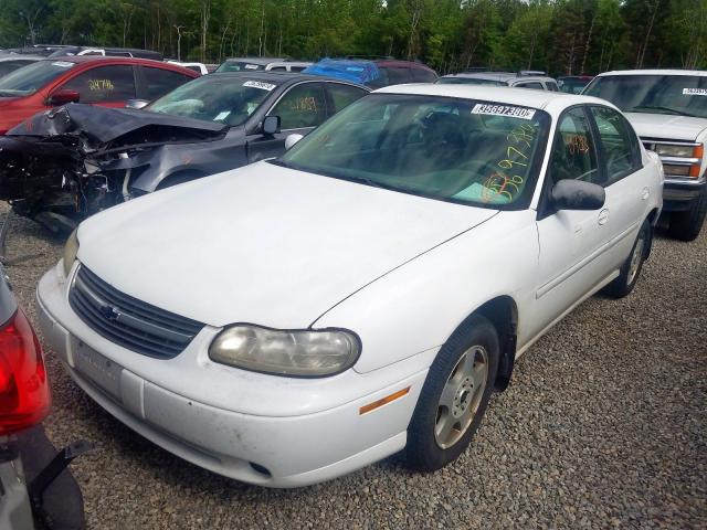 1G1NE52JX2M562907 - 2002 CHEVROLET MALIBU LS  photo 2