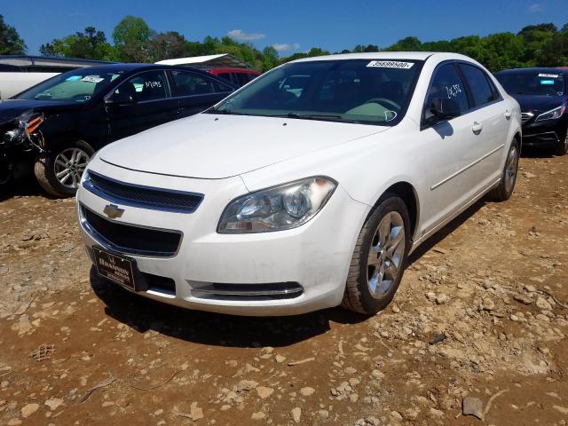 1G1ZG57B89F113530 - 2009 CHEVROLET MALIBU LS  photo 2