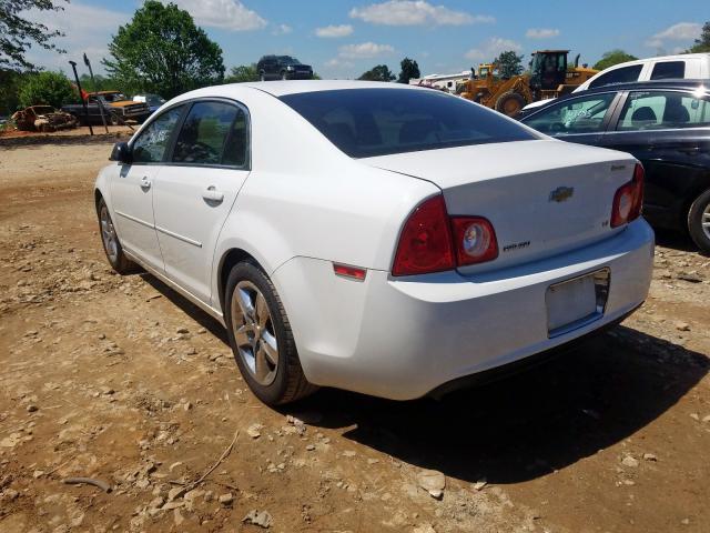 1G1ZG57B89F113530 - 2009 CHEVROLET MALIBU LS  photo 3