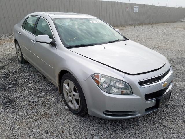 1G1ZH57B49F188254 - 2009 CHEVROLET MALIBU 1LT  照片 1