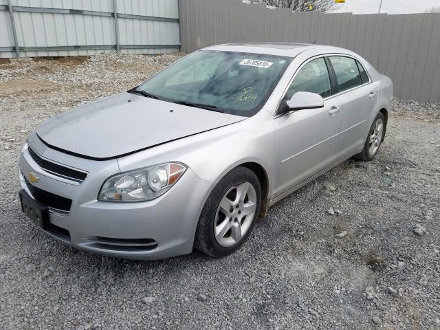 1G1ZH57B49F188254 - 2009 CHEVROLET MALIBU 1LT  照片 2
