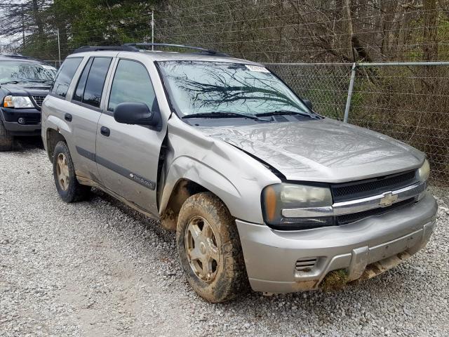 1GNDT13S432225825 - 2003 CHEVROLET TRAILBLAZER  photo 1