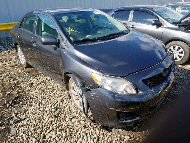 1NXBU4EE8AZ182349 - 2010 TOYOTA COROLLA BASE  photo 1