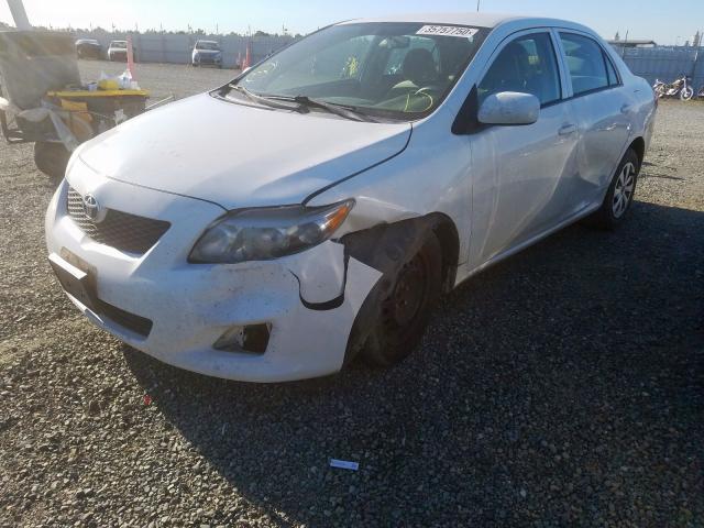 1NXBU4EE4AZ203004 - 2010 TOYOTA COROLLA BASE  صورة 2