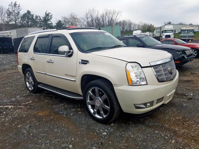 1GYFK23219R138016 - 2009 CADILLAC ESCALADE LUXURY  photo 1