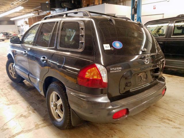 KM8SC13D32U329612 - 2002 HYUNDAI SANTA FE GLS  photo 3