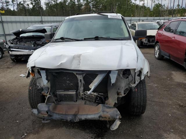 1FMPU18L24LA20239 - 2004 FORD EXPEDITION EDDIE BAUER WHITE photo 5