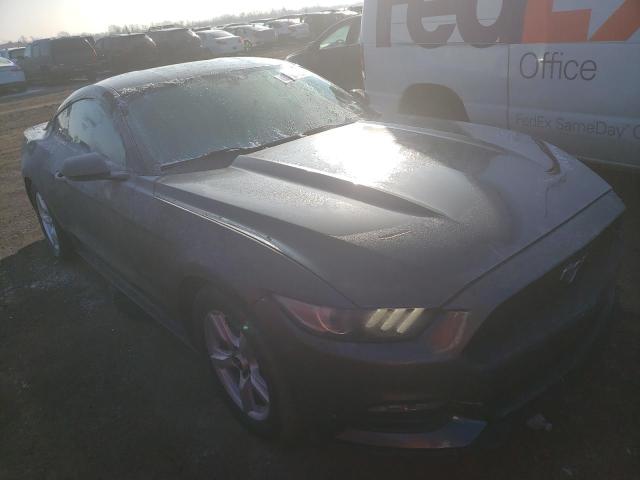 1FA6P8AM9H5353539 - 2017 FORD MUSTANG GRAY photo 4