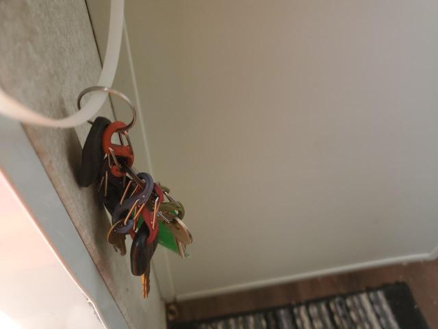 4YDT25R295G911190 - 2005 OUTB TRAVEL TRL WHITE photo 5