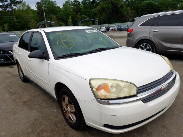 1G1ZT52895F299080 - 2005 CHEVROLET MALIBU LS  photo 1