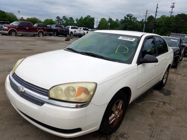 1G1ZT52895F299080 - 2005 CHEVROLET MALIBU LS  photo 2